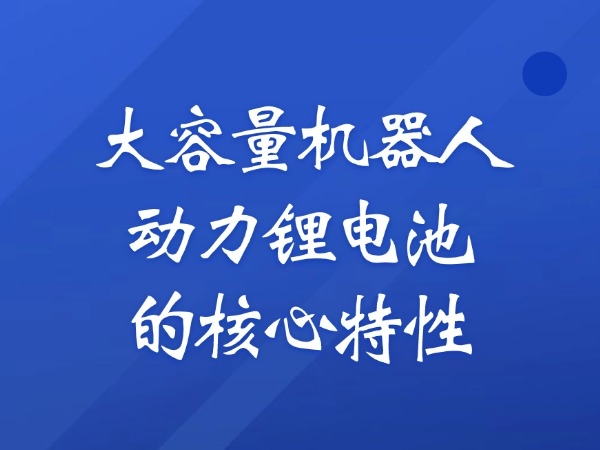 大容量机械人能源锂电池的焦点特征